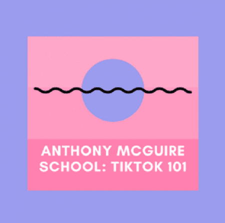 Anthony McGuire – TikTok Marketing & Advertising 101 {Full Course Download )